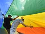 Hongarije verbiedt blootstelling jongeren aan 'promotie' van homoseksualiteit