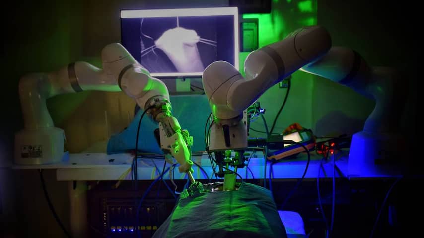 Robot voert met succes kijkoperatie uit bij varkens, zonder menselijke hulp