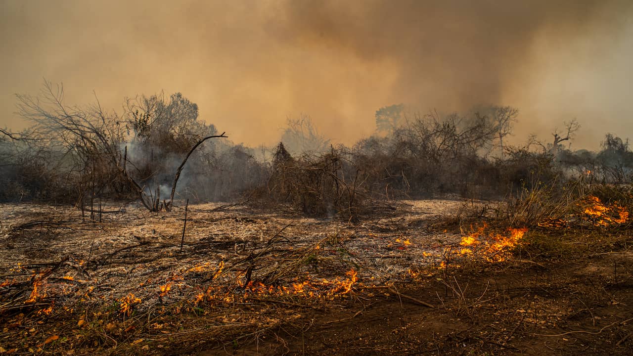 Part of the world is burning and that is not good for the mind and lungs |  outside