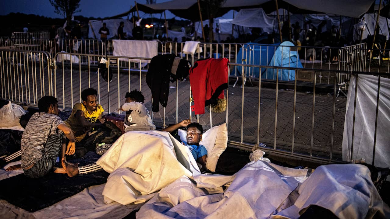 Grace Moderator Klooster 700 mensen sliepen afgelopen nacht buiten bij aanmeldcentrum Ter Apel |  Binnenland | NU.nl