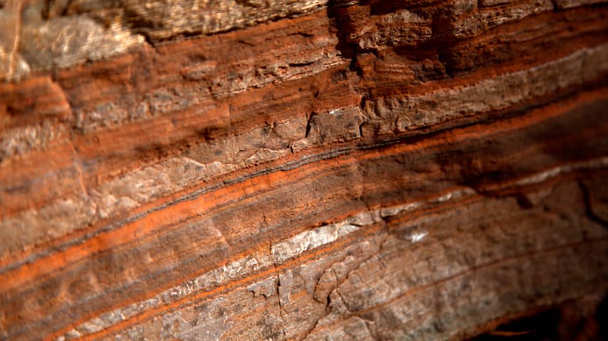 30.000 jaar oude Aboriginalkunst vernield in Zuid-Australië: 'Tragisch verlies'