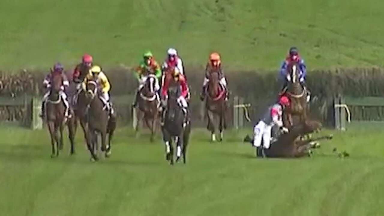Beeld uit video: Jockey sprint alsnog naar zege na val van paard