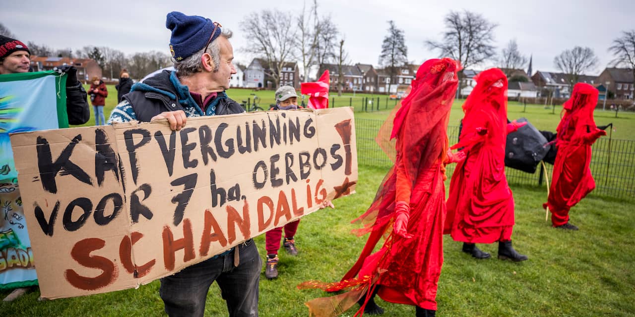 Activisten bezetten bos naast Limburgse autofabriek Nedcar vanwege bomenkap