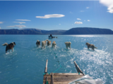 Smeltend ijs in het nieuws: is klimaatverandering aan het versnellen?