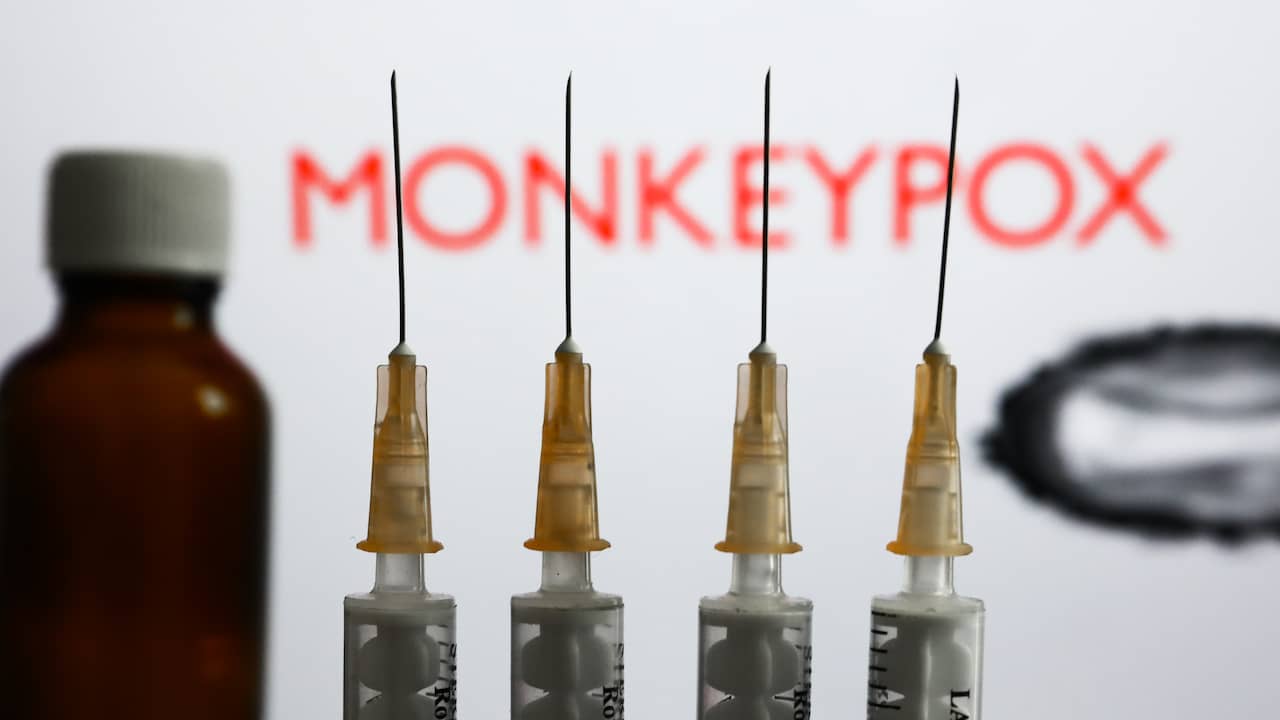L’Unione Europea acquista 110.000 vaccini contro il vaiolo delle scimmie e i Paesi Bassi si sono accumulati |  Attualmente