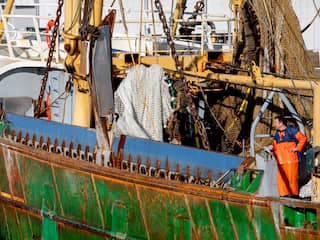 Europees Parlement stemt definitief voor verbod op pulsvisserij