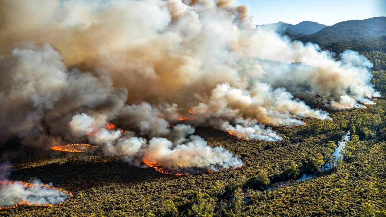 Duizenden geëvacueerd vanwege hevige bosbranden in Nieuw-Zeeland