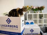 Minder mensen verhuizen in eerste kwartaal na recordjaar 2017
