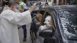 Filipijnse kerk organiseert drive-thruceremonie voor huisdieren