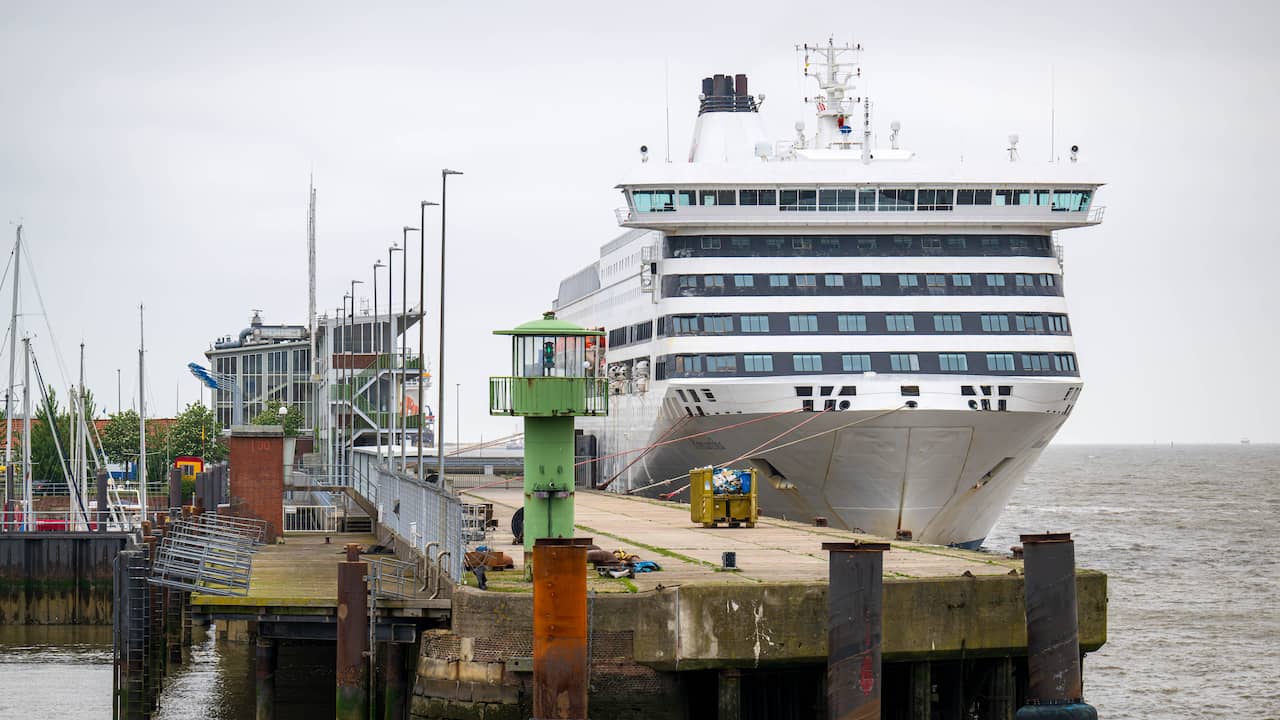 Fergeforbindelse Holland Norway Lines stopper skipet på grunn av økonomiske problemer |  Virksomhet