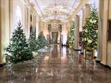 Witte Huis onthult kerstversiering inclusief 77 kerstbomen