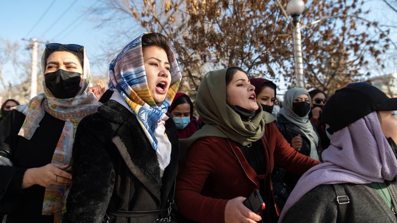 Women employees of NGOs in Afghanistan can no longer go to work ...