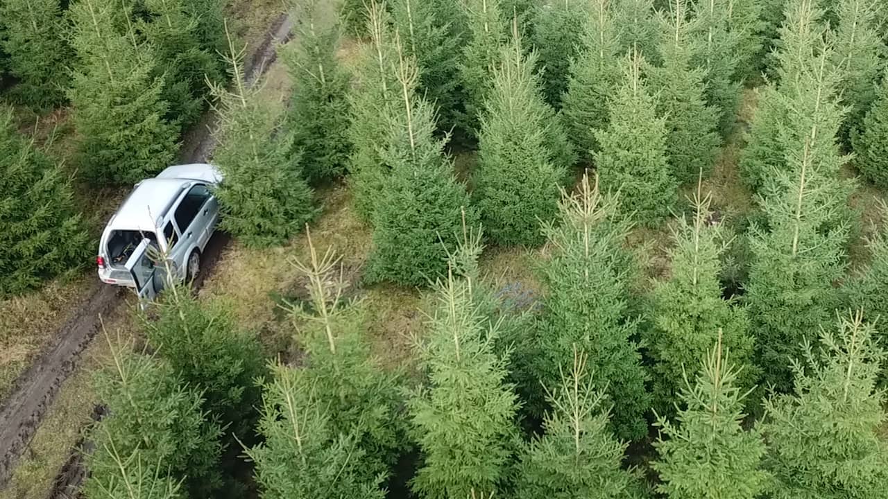 Beeld uit video: Grootste kweker van kerstbomen in Nederland: 'Het is verslavend'