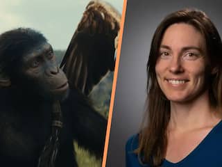 Blockbuster met Nederlands tintje: Laura werkte aan Planet of the Apes