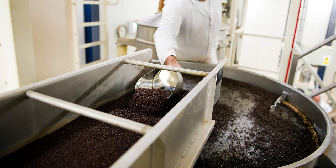 Nederlandse bedrijven gebruiken vaker duurzame cacao