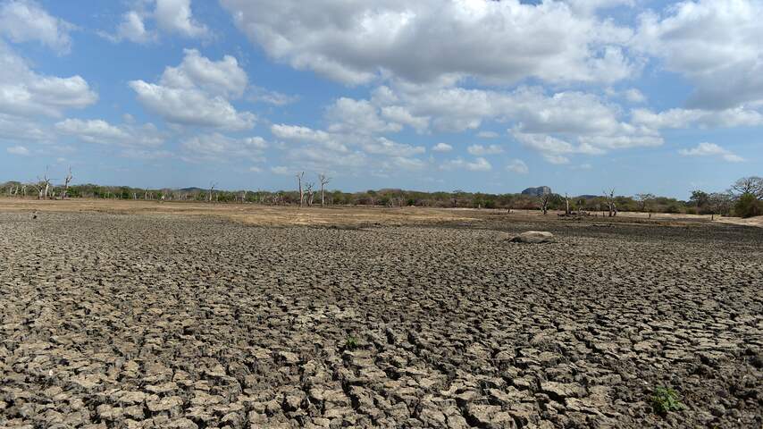 Kabinet geeft extra geld aan met droogte kampende Afrikaanse landen