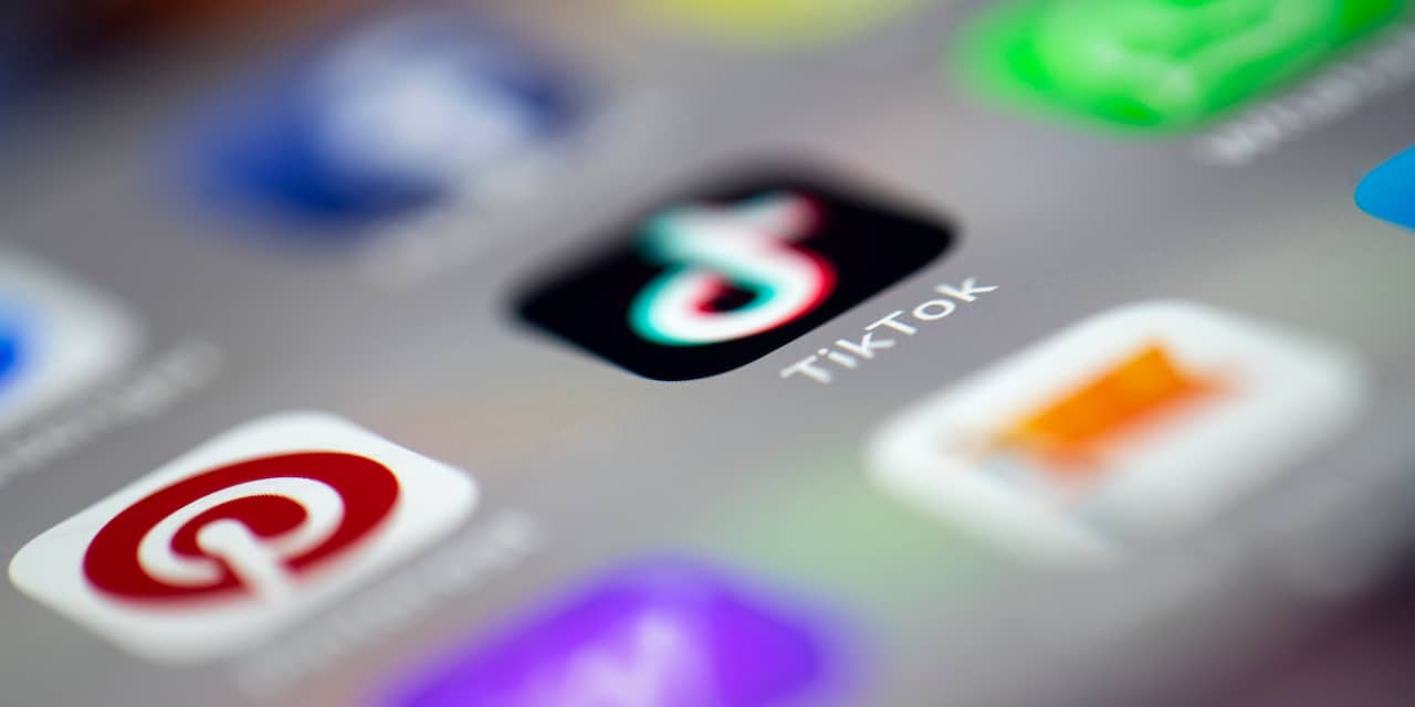 India doet TikTok-app in de ban vanwege pornografische beelden