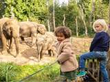 Dierenpark Amersfoort