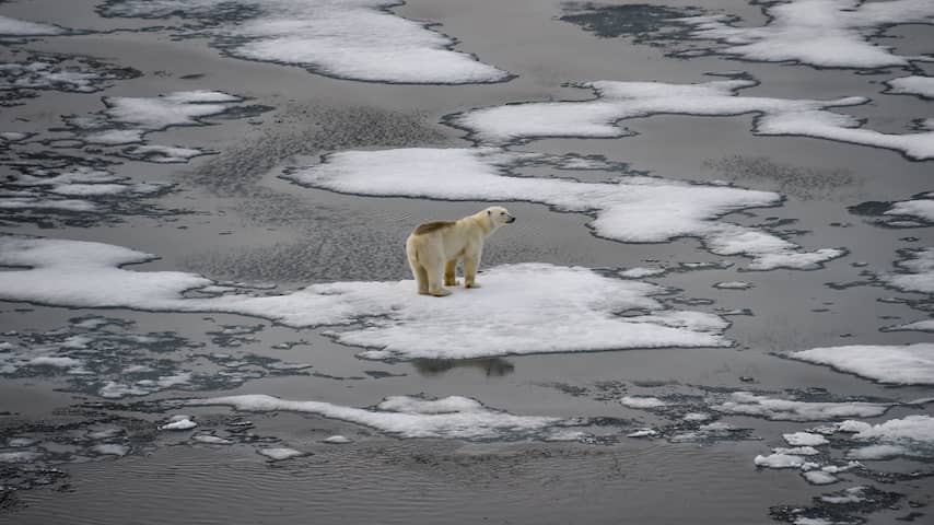Het is mogelijk al te laat om zomerijs op de Noordpool te redden