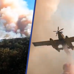 Video | Blusvliegtuigen in actie tegen bosbrand Spanje
