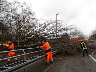 Drie doden door storm in Oost-Nederland, weeralarm ingetrokken