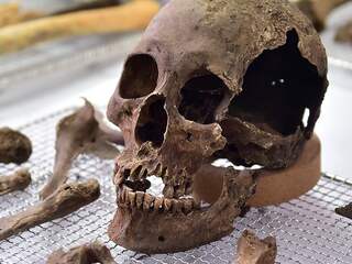 In China gevonden schedel blijkt ruim tienduizend jaar oud