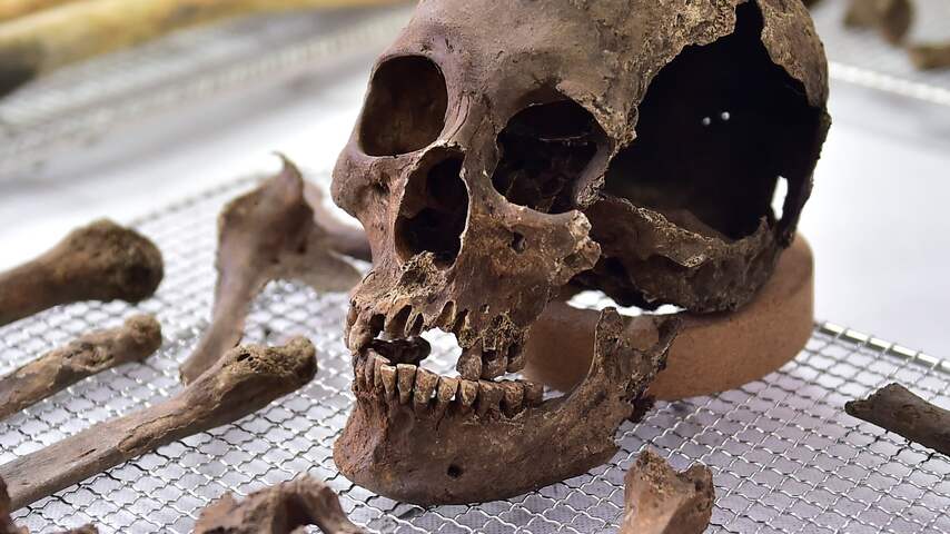 In China gevonden schedel blijkt ruim tienduizend jaar oud