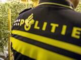 Politie vindt 30 hennepplanten in Haagse woning, een verdachte aangehouden