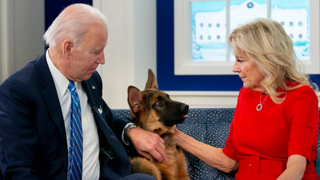 Joe Biden’s Dog Commander Bites Seven White House Employees: Aggressive Behavior Revealed