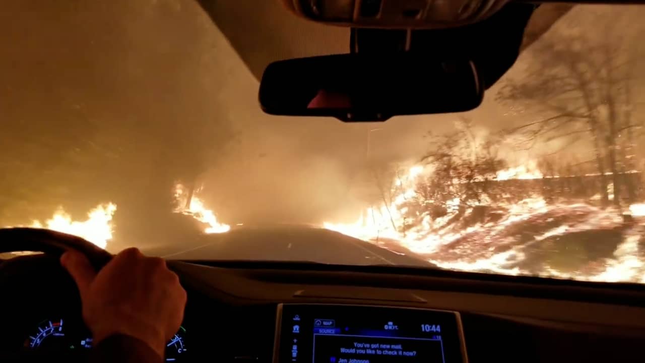 Beeld uit video: Compilatie: Mensen en dieren ontvluchten grote branden Californië