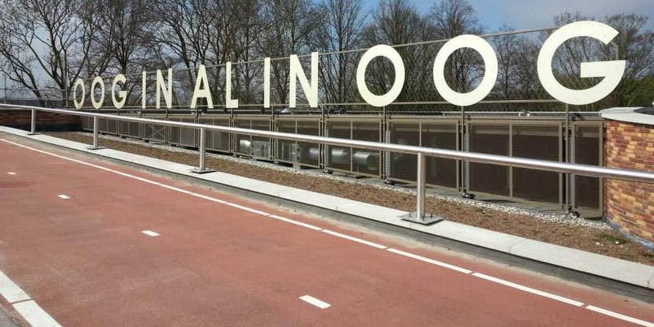 Wat betekent 'Oog in Al in Oog' op de nieuwe Dafne Schippersbrug?