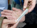 Drugsoverlast het grootst in zuidelijke provincies