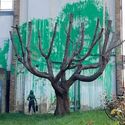 Video | Mogelijk nieuwe Banksy duikt op in Londen