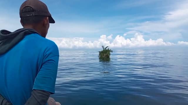 Indonesische vissers vinden piepklein drijvend eiland op zee