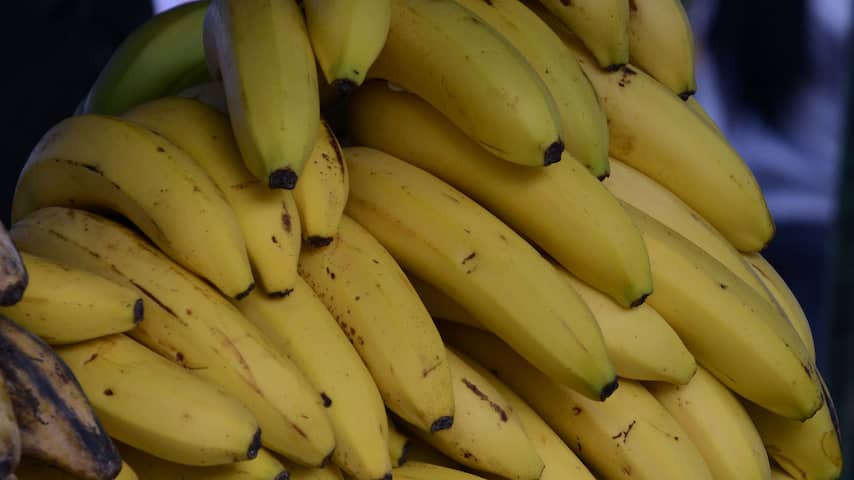 Douane vindt 350 kilo cocaïne tussen bananen in haven Vlissingen