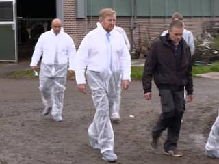 Willem-Alexander bekijkt in overall door blauwtong getroffen schapen