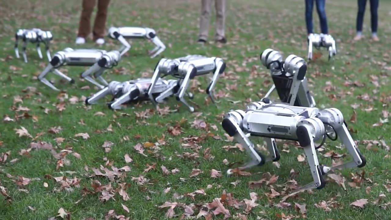 Negen robotcheeta's doen backflips en spelen voetbal