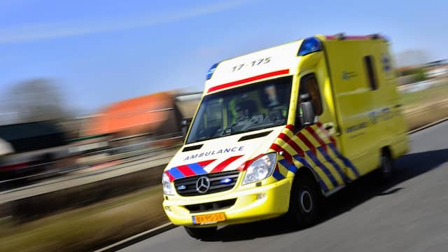 Vrouw gewond en hond dood door ongeluk in Vlaardingen. Vrouw gewond en hond dood door ongeluk in Vlaardingen.