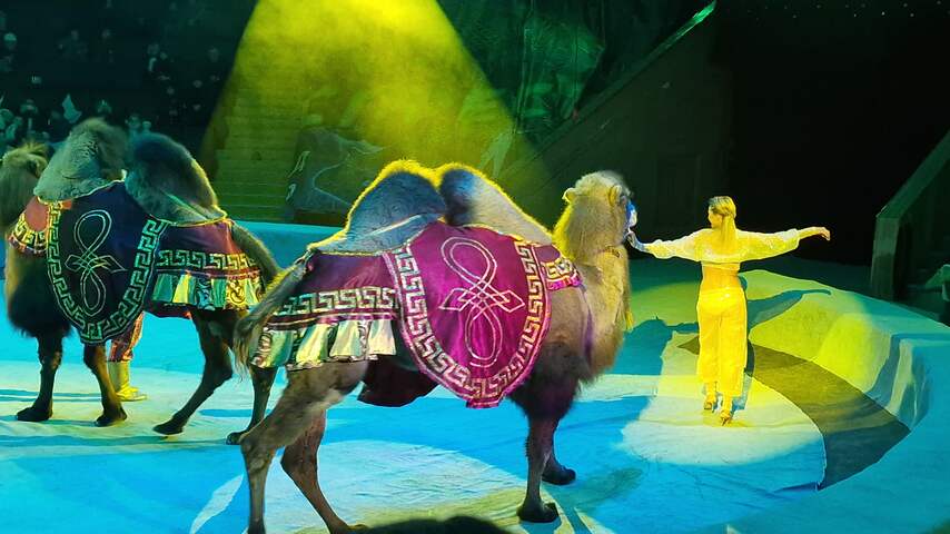 Achter de oorlog: De circusshow must go on