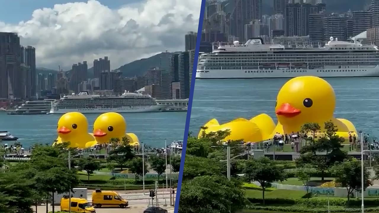 Beeld uit video: Gigantische gele badeend in Hongkong loopt leeg
