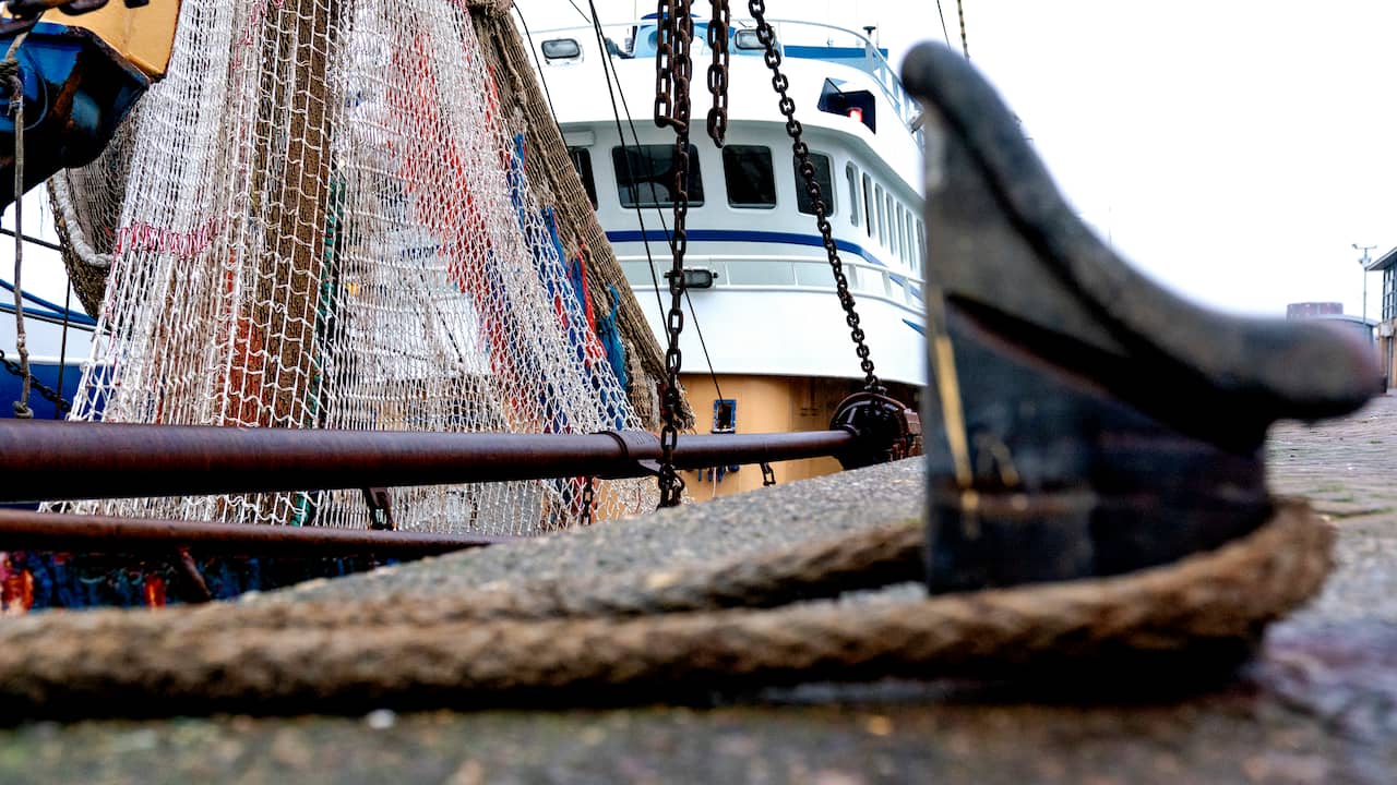 Conflit de pêche à nouveau en hausse: les pêcheurs français menacent de manifester |  À PRÉSENT