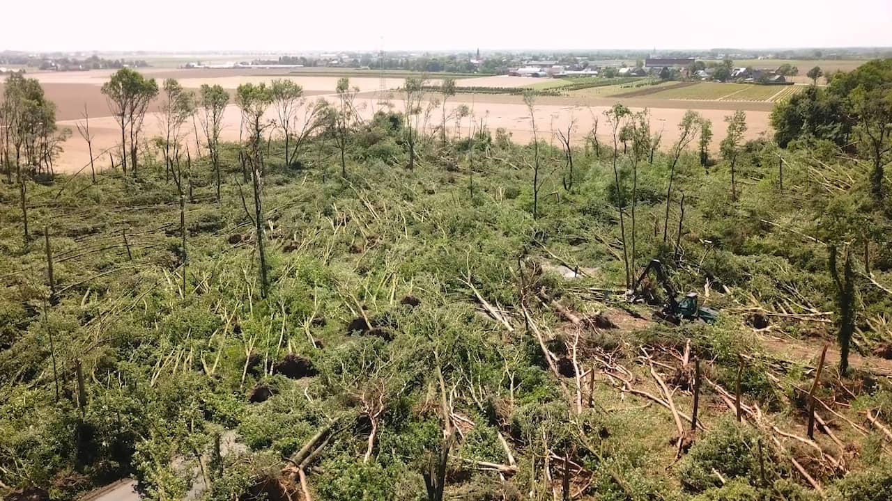 Beeld uit video: Dronebeelden: Veel geknakte bomen na tornado Duitsland