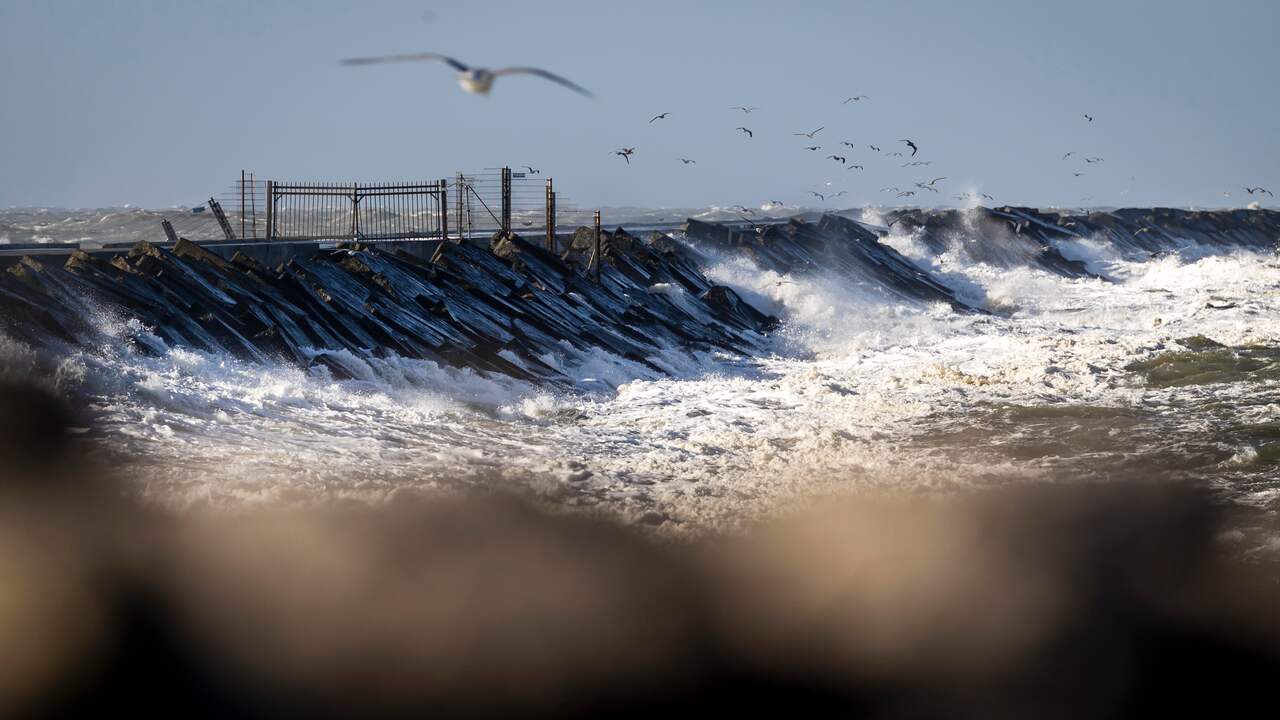 Beeld uit video: Kijk live op meerdere plekken in Nederland naar storm Eunice