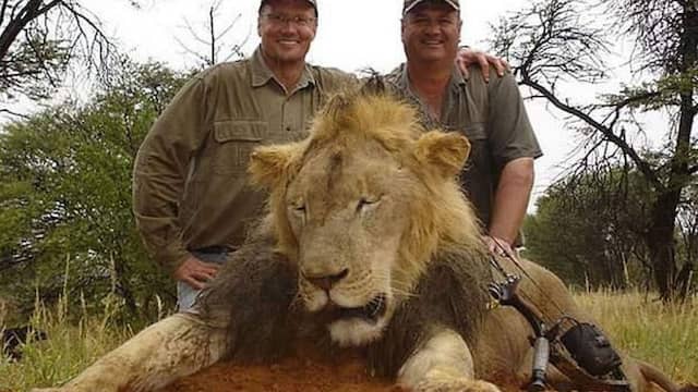 Foto van Walter Palmer tijdens een eerdere jacht