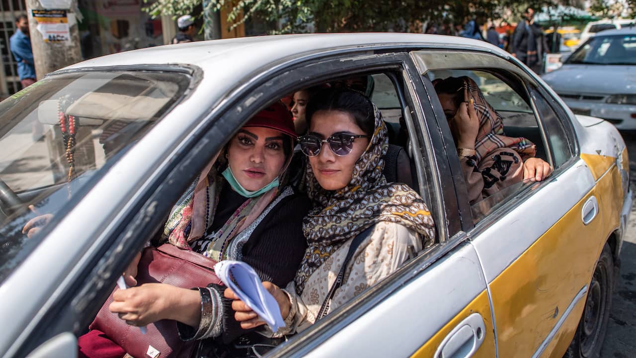 UN urges Taliban to reverse restrictions on women’s rights |  abroad