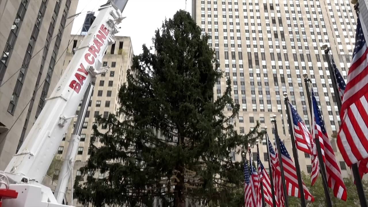 Beroemdste kerstboom van de VS opgezet in New York NU.nl