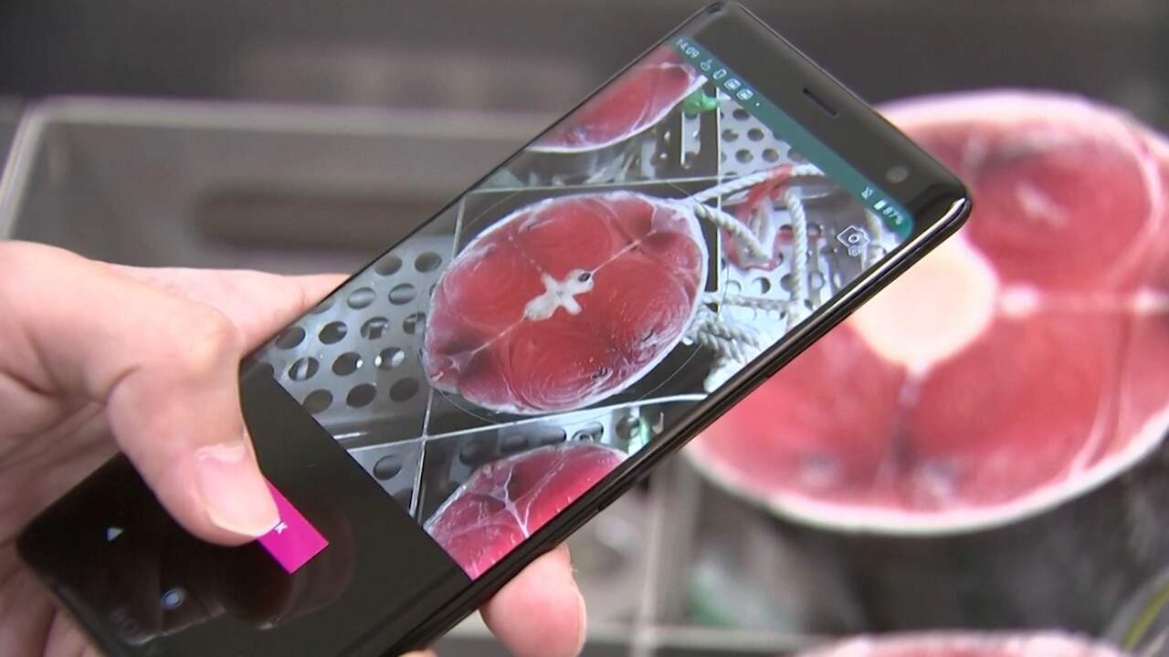 Beeld uit video: Japanse app helpt je aan de beste stukken tonijn