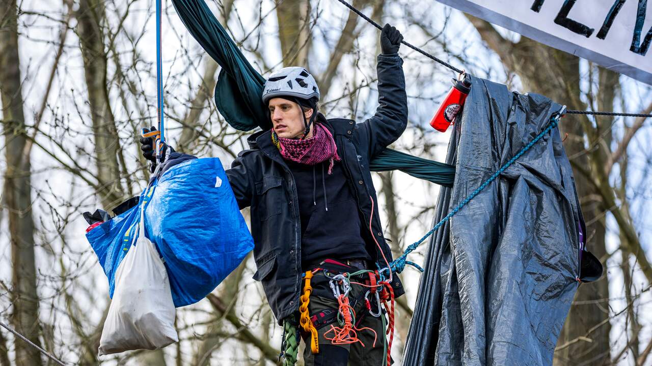 Actievoerders klommen in bomen uit protest tegen de voorgenomen kap van het Sterrebos.