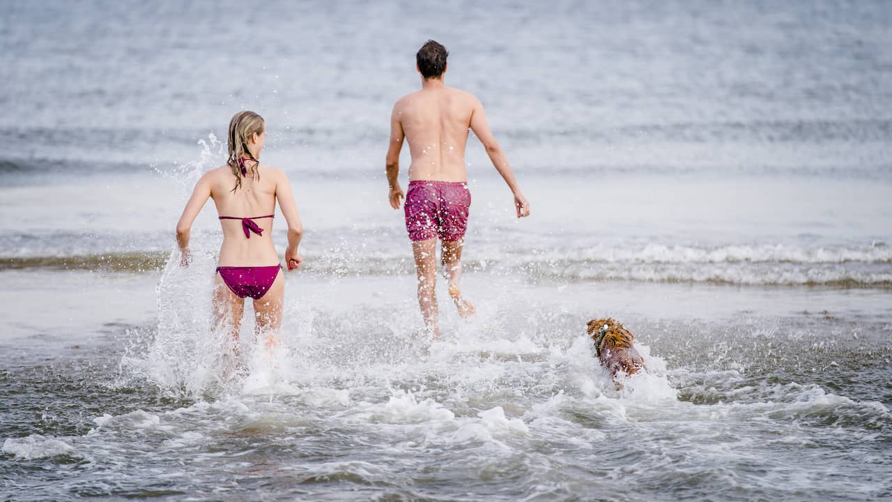 Weather forecast: Tropically warm again, code yellow for the southeast |  NOW