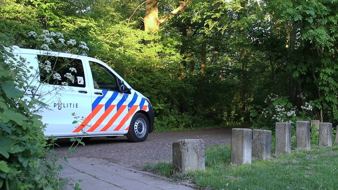 Public Prosecution Service demands tbs for stabbing to death of runner in Groningen during psychosis |  NOW